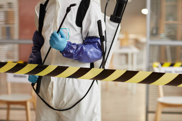 Professional Hoarding Cleanup technician working in Webster, TX
